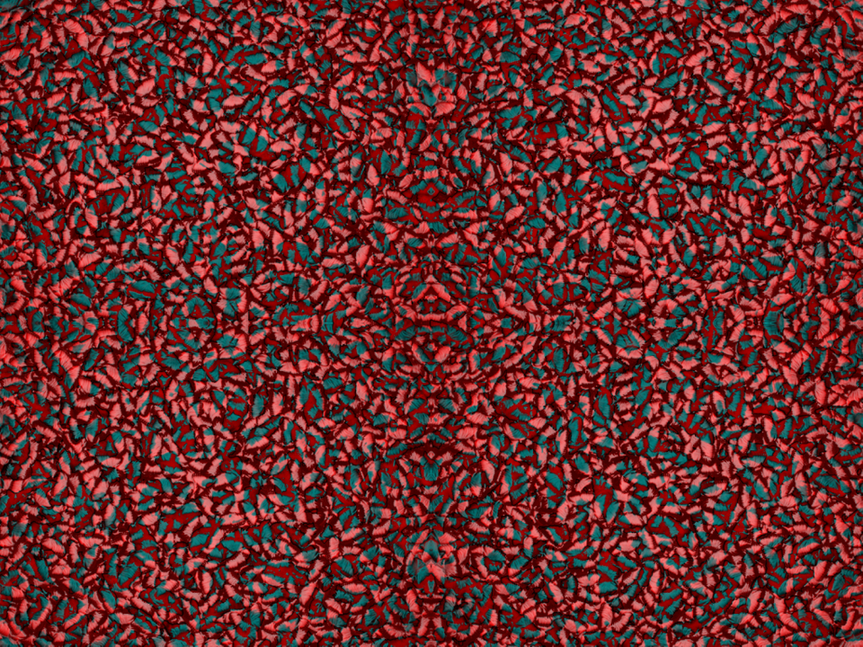 Carmine - HD Wallpaper 