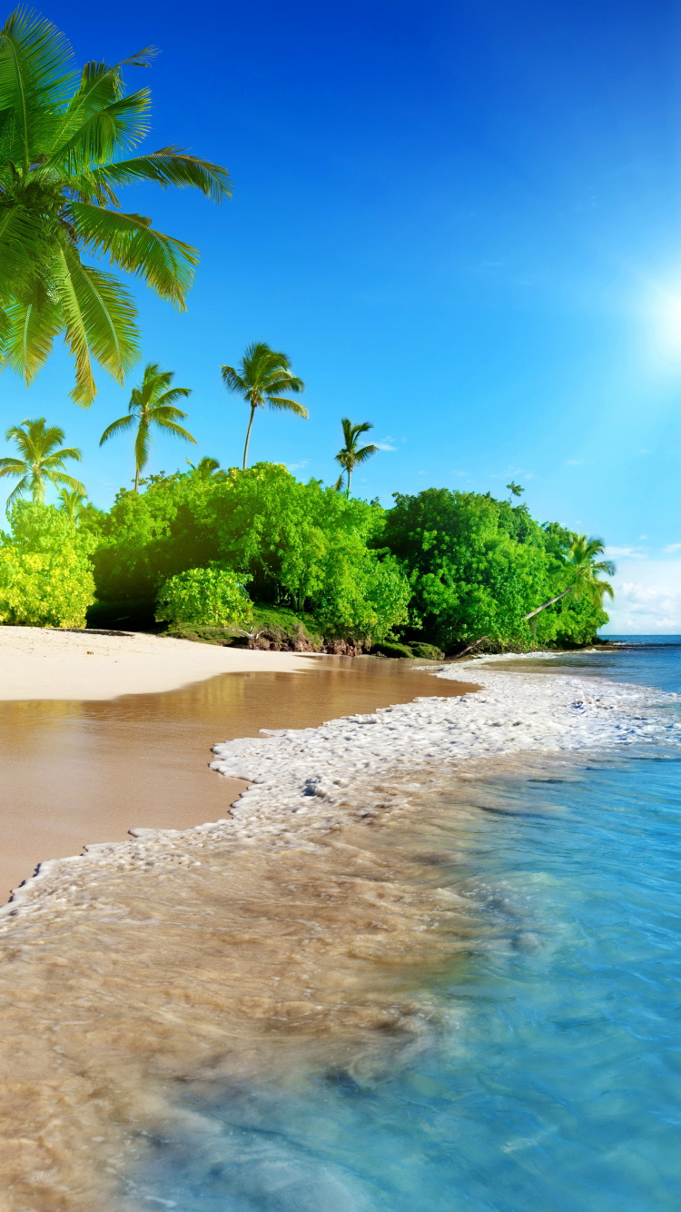 Tropical Beach, Sea, Calm, Sunny Day, Holiday, Wallpaper - Beach Tropical Iphone 7 - HD Wallpaper 