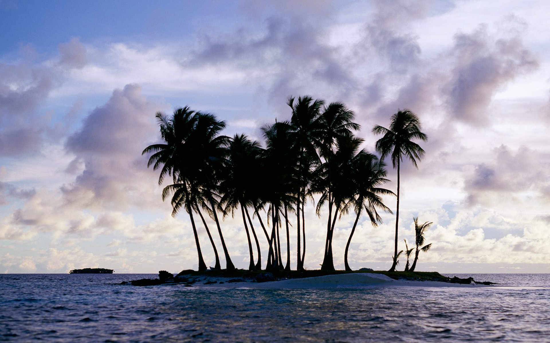 Palm Tree Backgrounds For Macbook Air - HD Wallpaper 