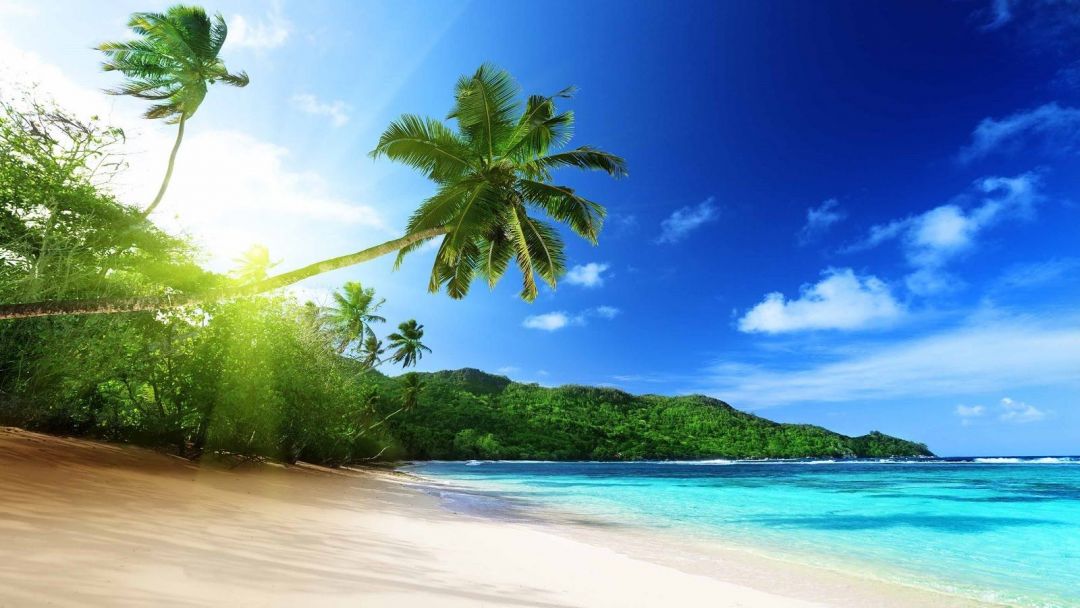 Android, Iphone, Desktop Hd Backgrounds / Wallpapers - Seychelles