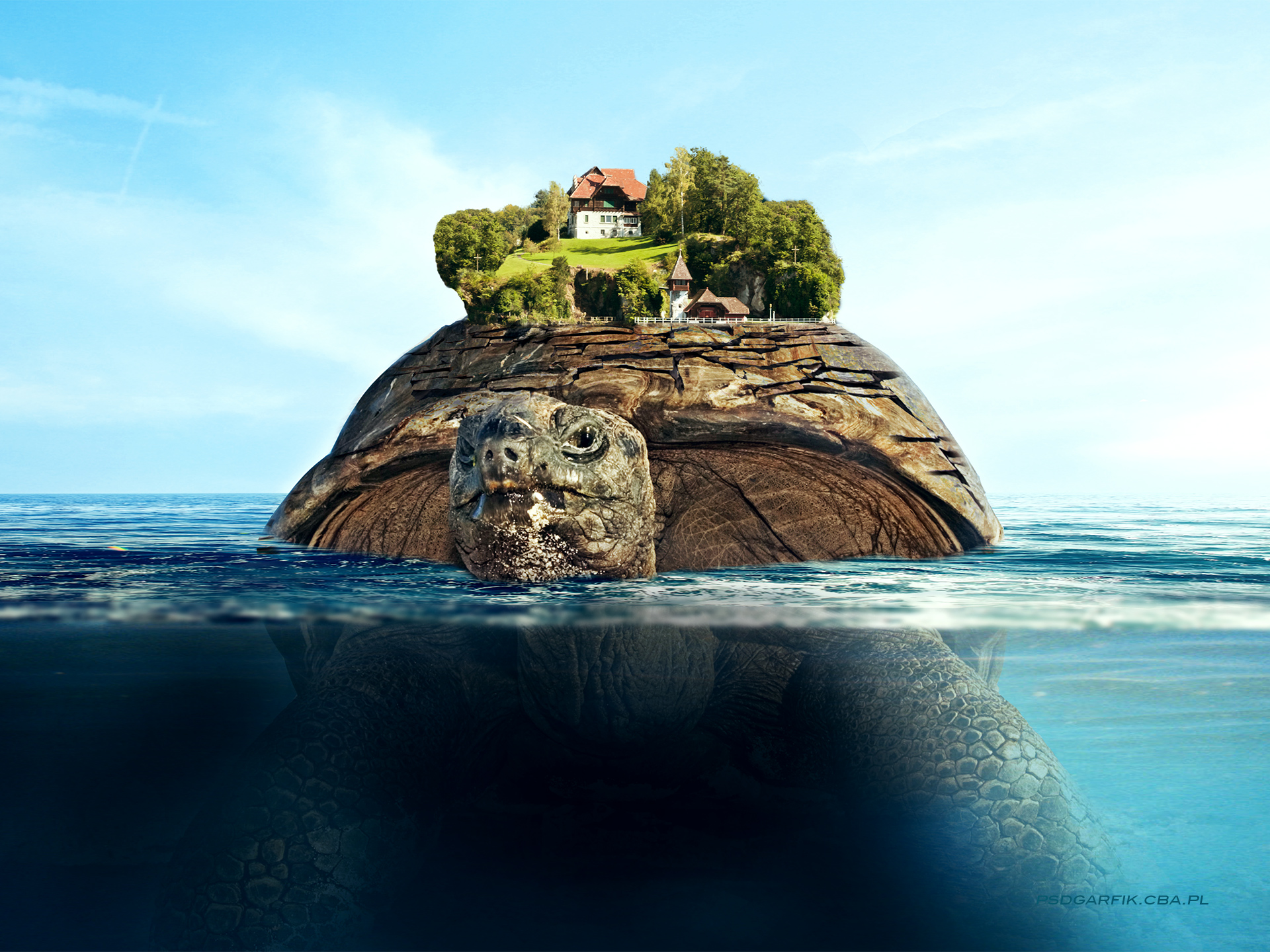 Turtle Island Wallpaper Iphone - HD Wallpaper 