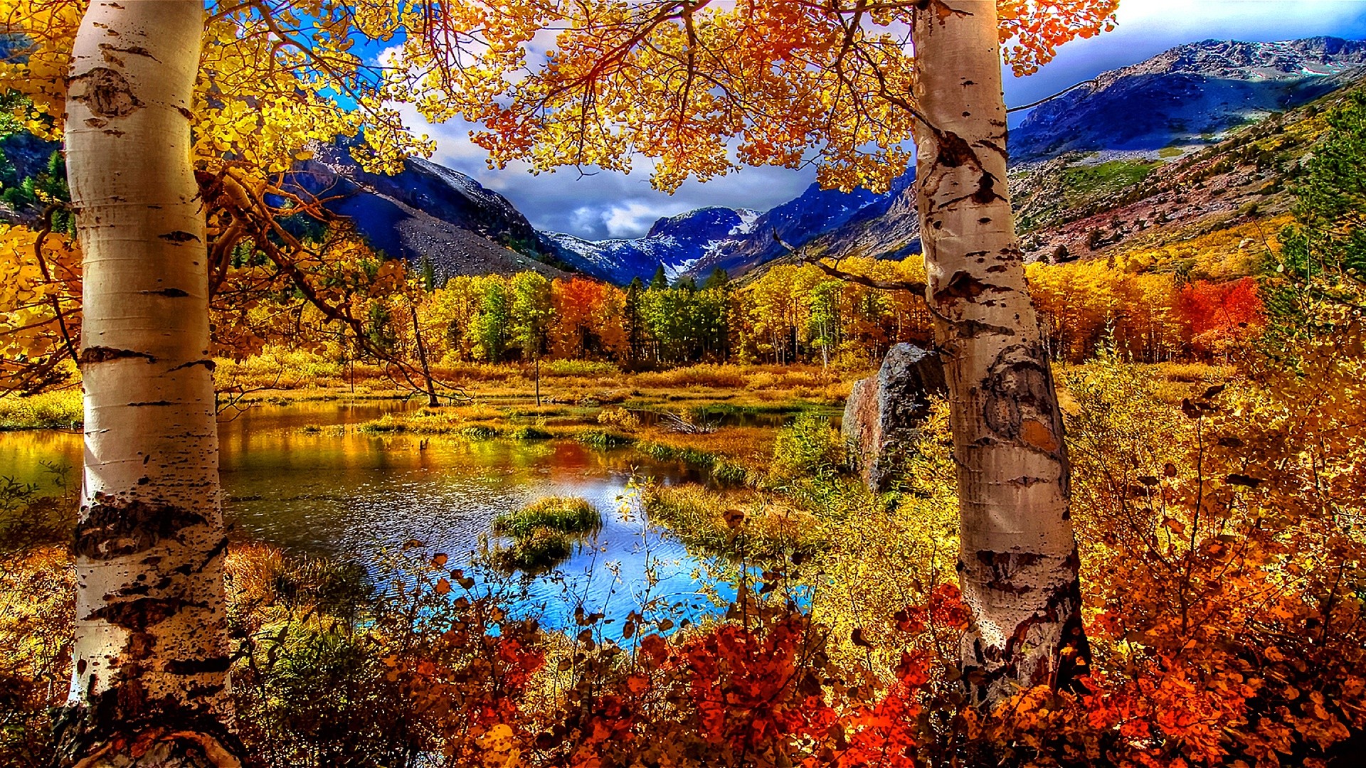 1920x1080, Autumn Scenery Wallpaper - Beautiful Fall Landscape - HD Wallpaper 