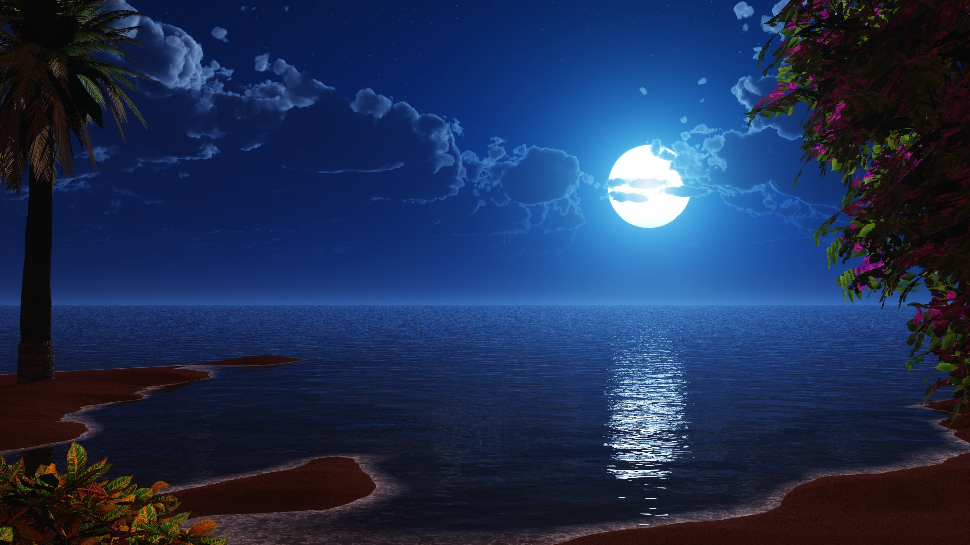 Tropical Beach, Coast, Full Moon, Night, Sky, Scenery, - Night Sky Tropical Beach - HD Wallpaper 