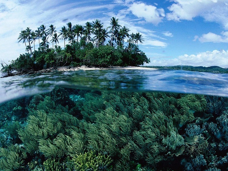 Private Isl Wallpaper - Papua New Guinea Hd - HD Wallpaper 