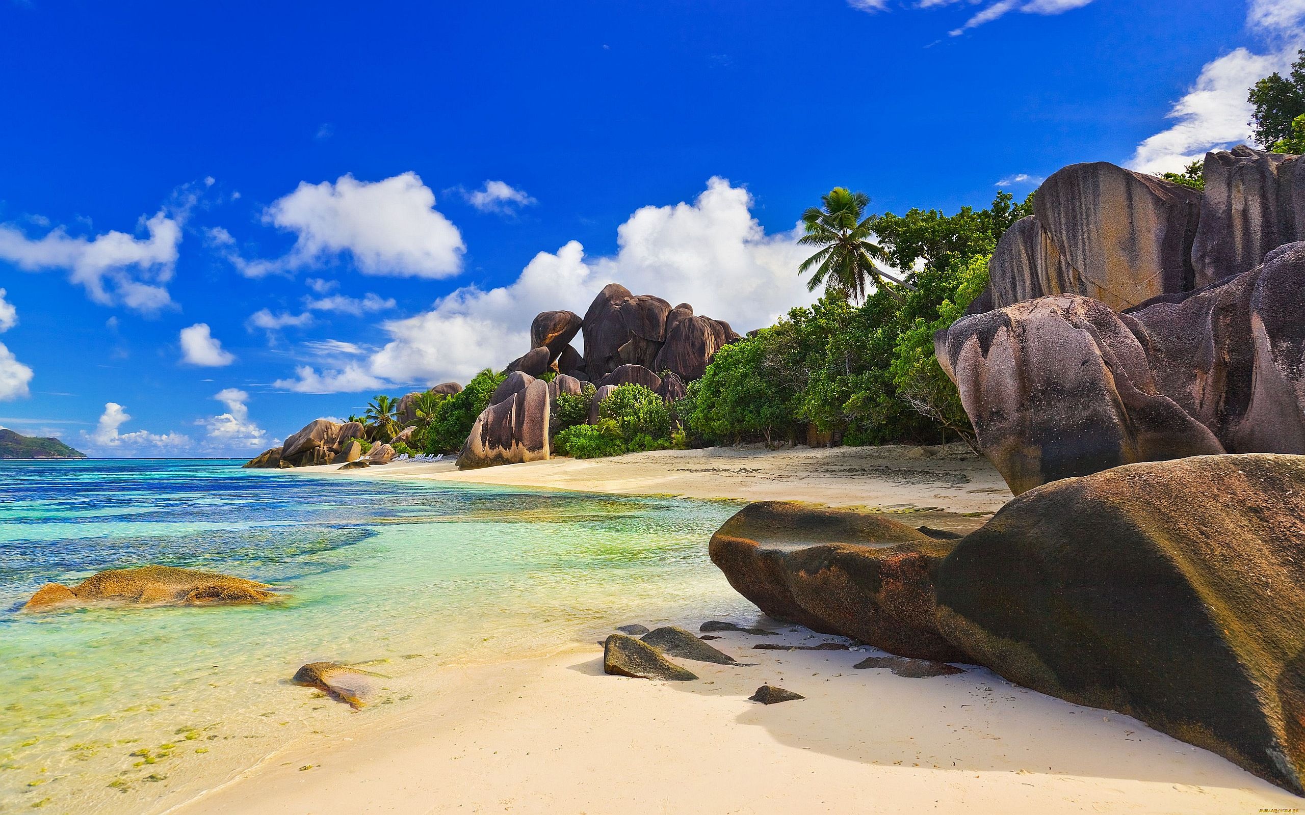 Most Beautiful Beach Wallpaper - Hd Desktop Wallpapers Beach - 2560x1600 Wallpaper Most Beautiful Beach Wallpaper - Hd Desktop Wallpapers Beach - 2560x1600 Wallpaper