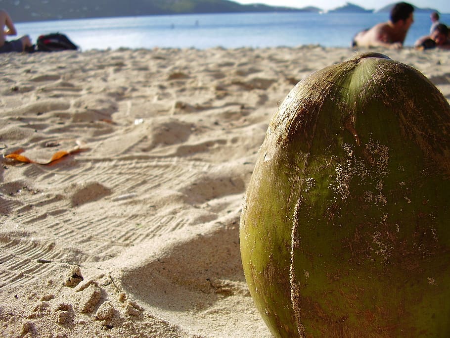 Coconut, Close-up, Sand, Beach, Summer, Sand Beach, - Água De Coco Na Areia - HD Wallpaper 