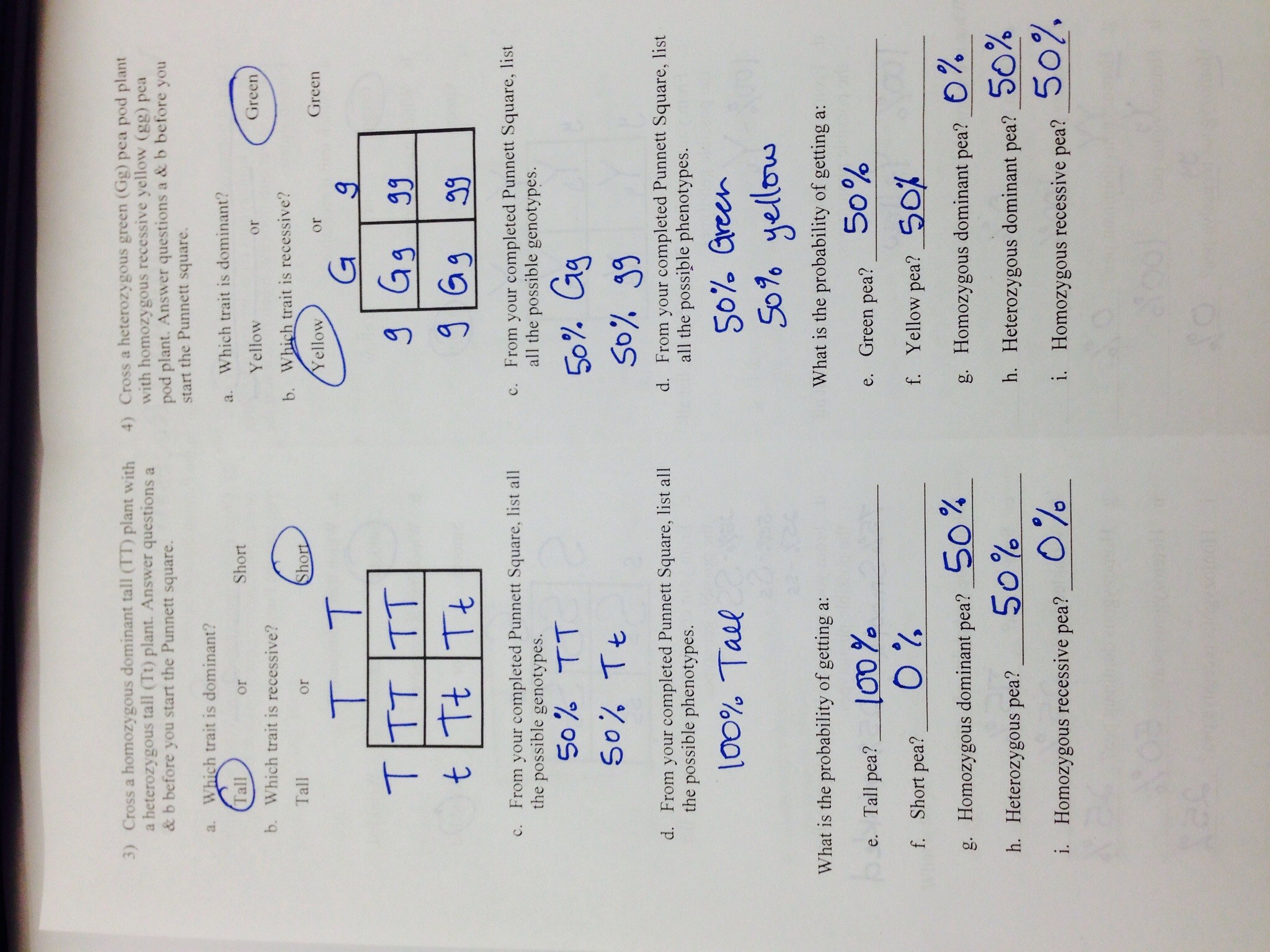 Patterns Of Heredity And Human Genetics Answer Key - 24x24 Regarding Genetics Problems Worksheet Answer Key