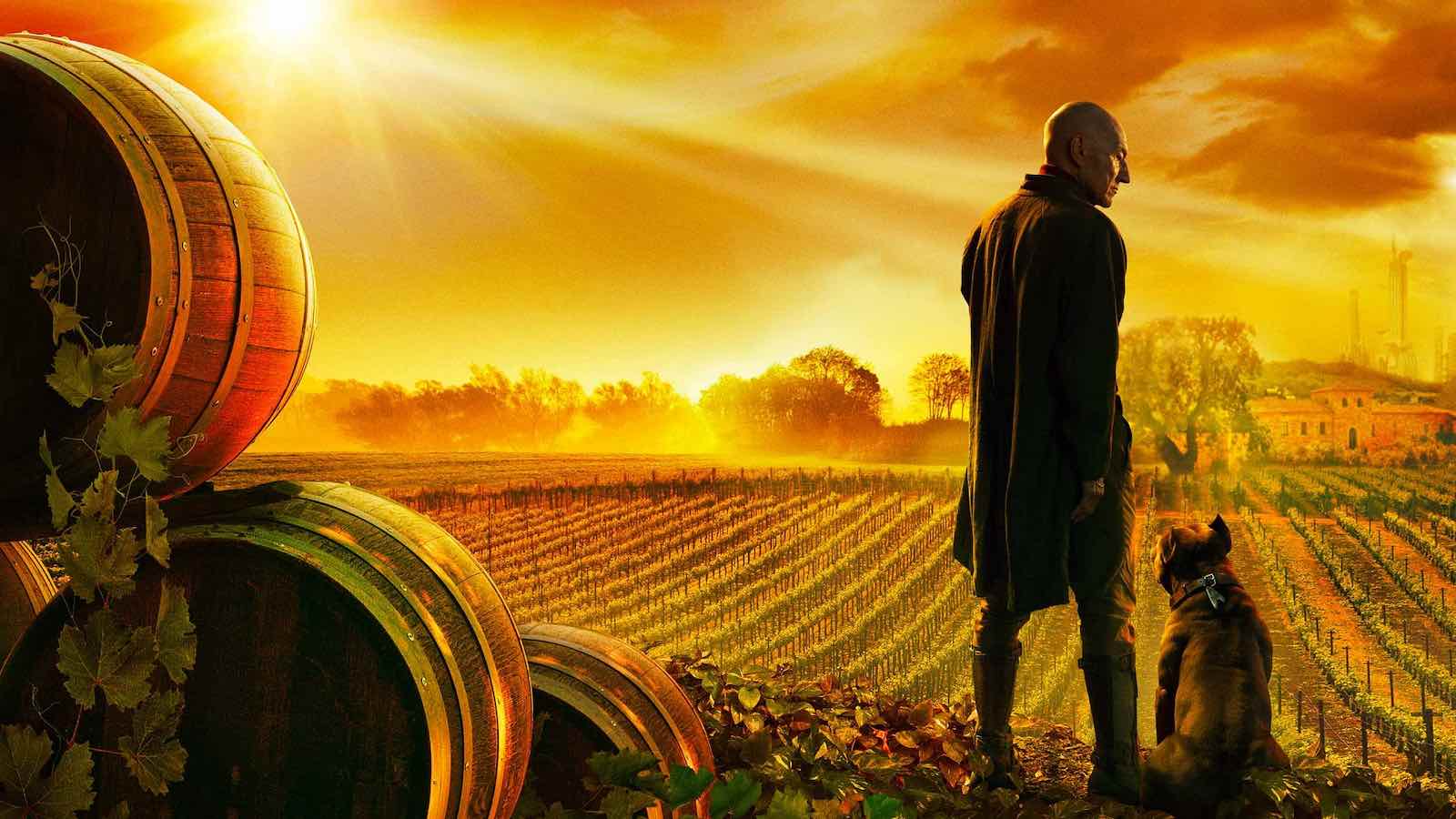 Star Trek Picard Cbs - HD Wallpaper 