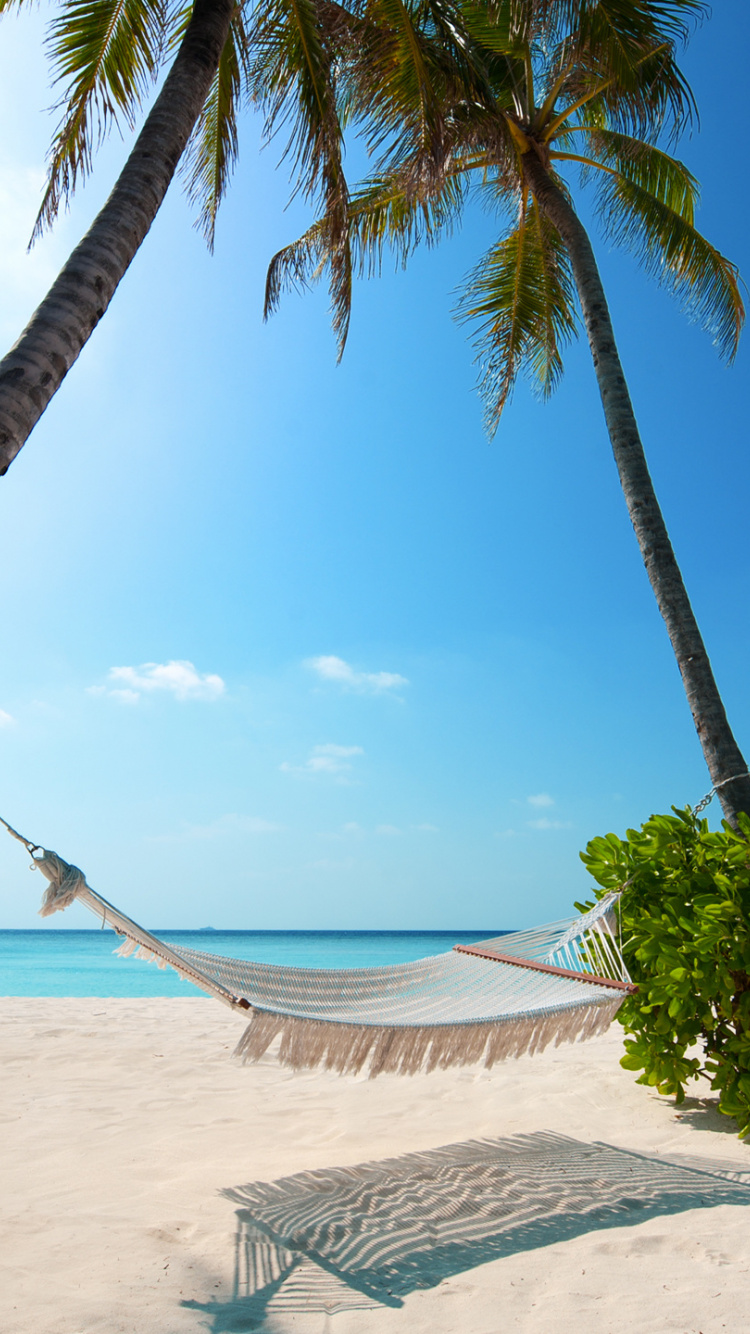 Beach, Holiday, Summer, Palm Trees, Island, Wallpaper - Beach Wallpaper Hd Android - HD Wallpaper 