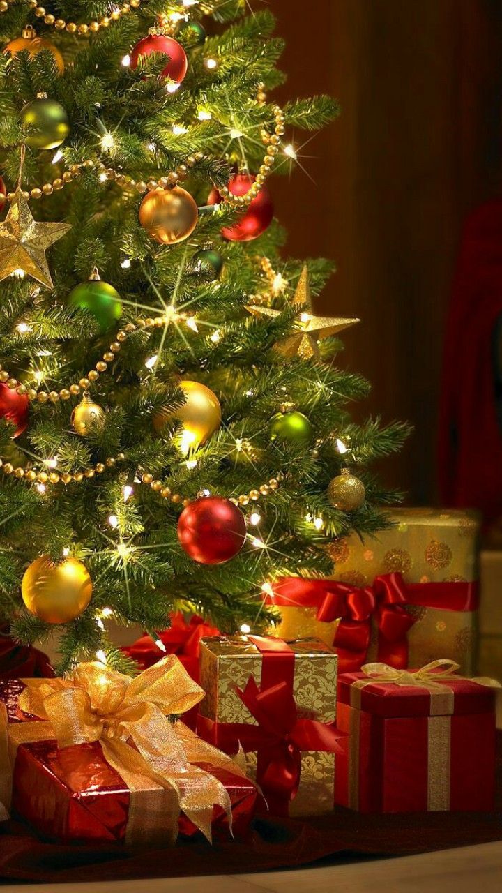 Pine Happy New Year - HD Wallpaper 