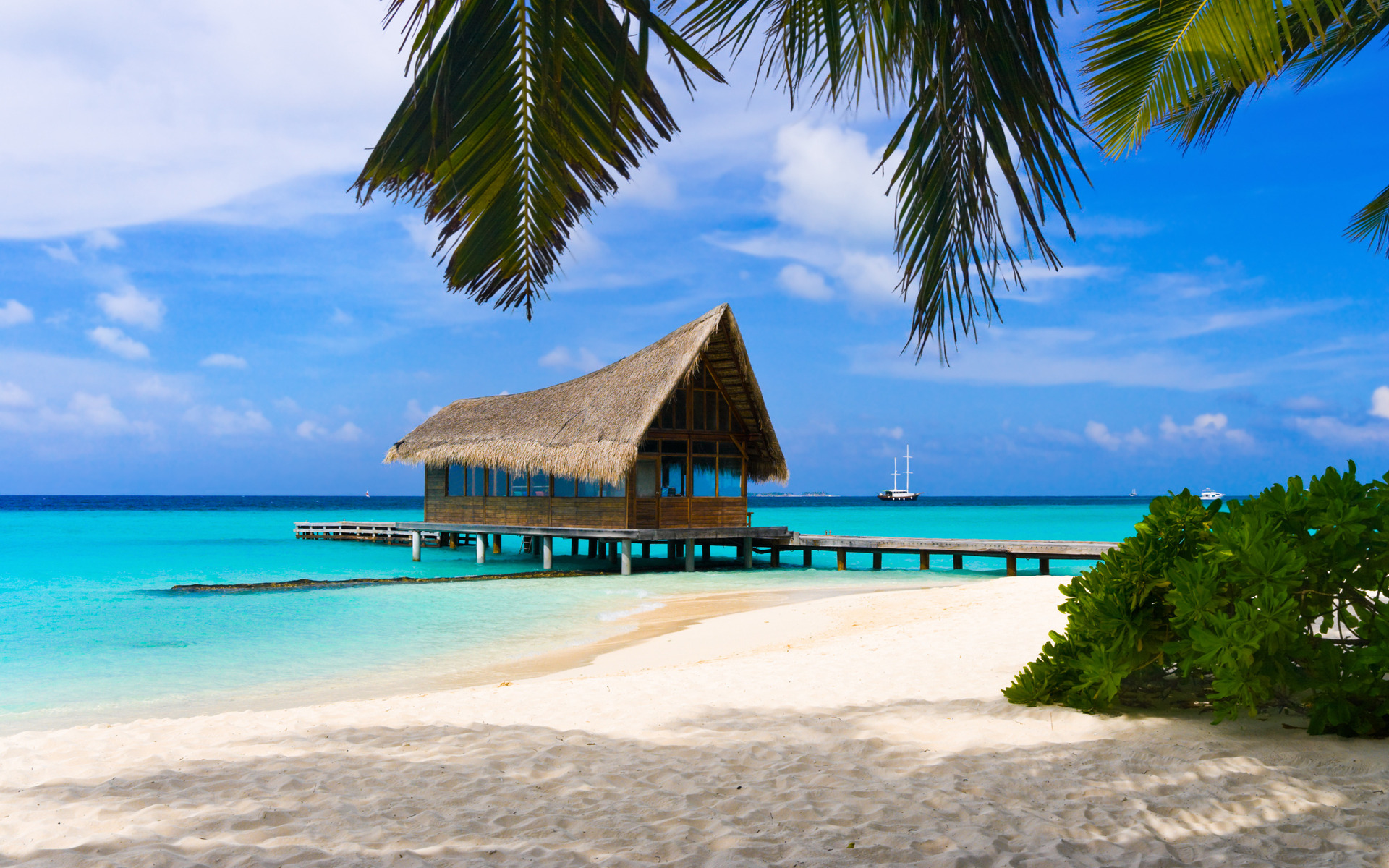 Beach Bahamas Islands - HD Wallpaper 