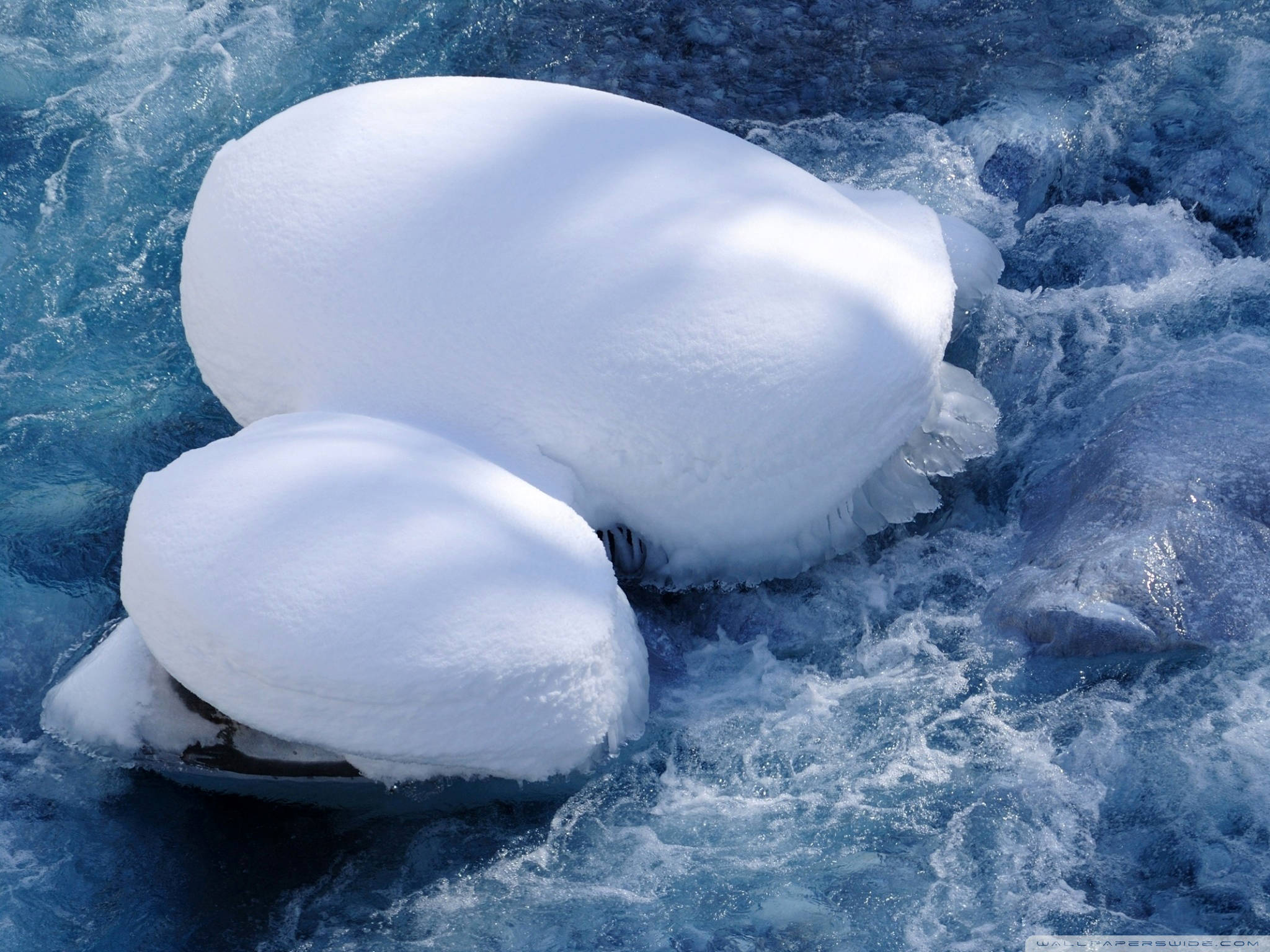 Wallpaper - HD Wallpaper 