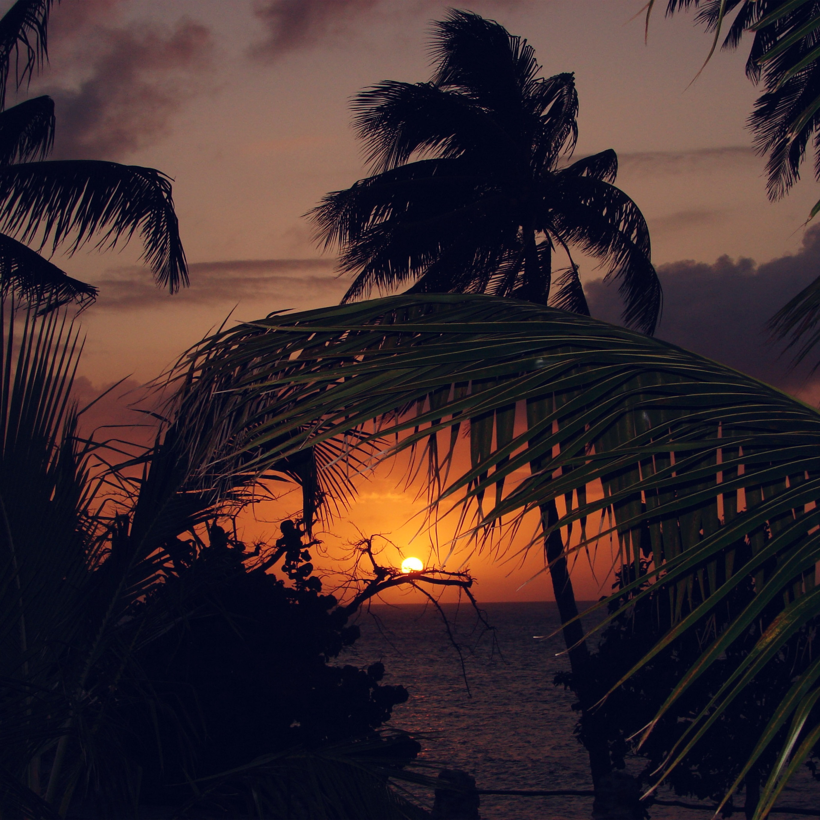 Sunset - HD Wallpaper 