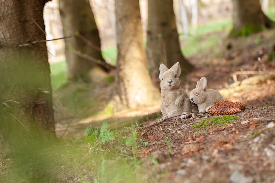 Small, Cute, Sweet, Nature, Hare, Holiday, Festival, - Swift Fox - HD Wallpaper 