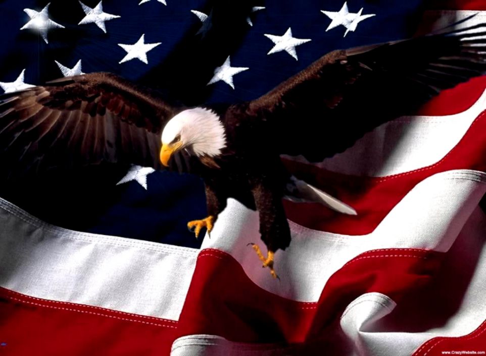 Patriotic Bald Eagle Wallpaper Wallpapersafari - Patriotic Background - HD Wallpaper 