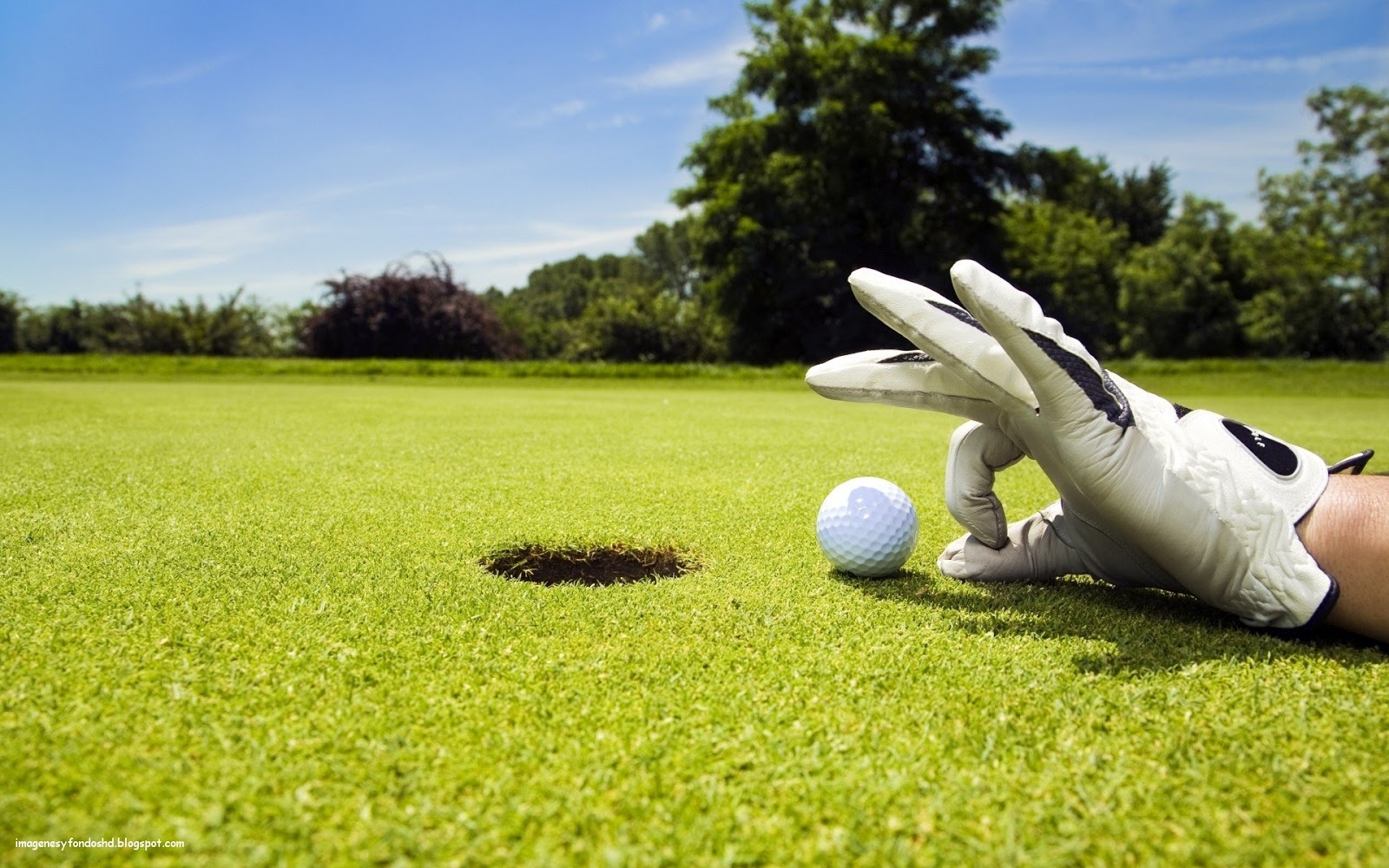 Cool Golf - HD Wallpaper 