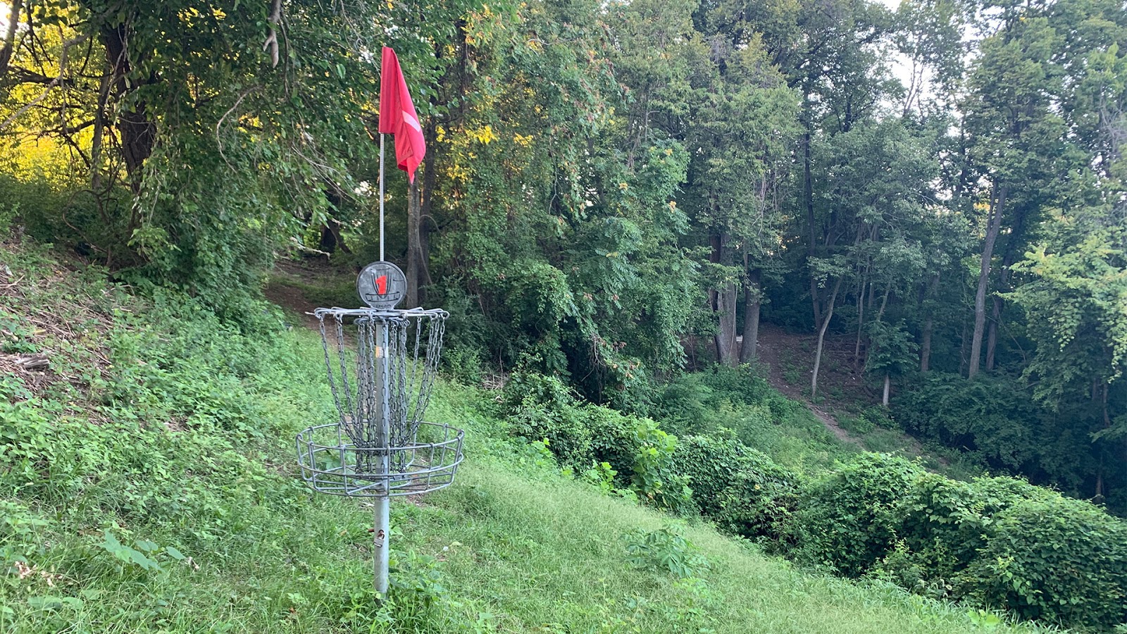 Grove - HD Wallpaper 