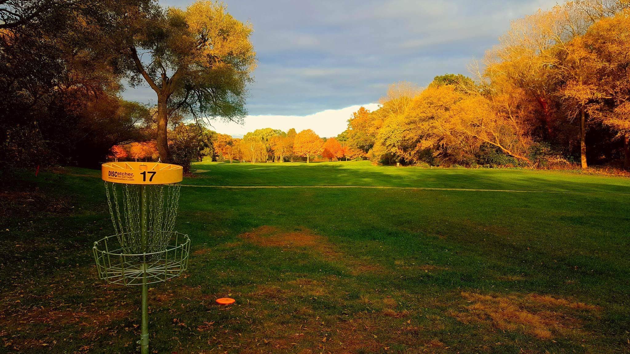 Grass - HD Wallpaper 