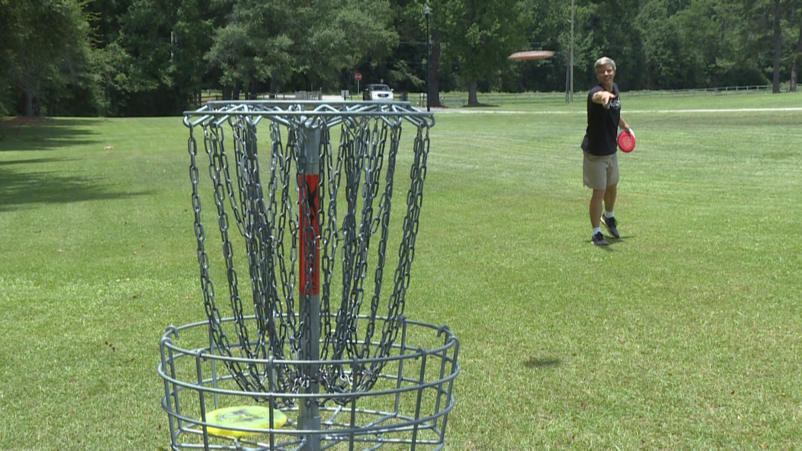 Grass - HD Wallpaper 