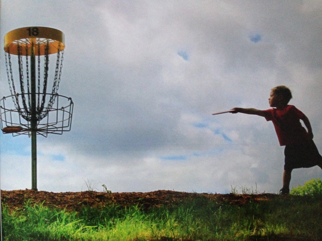 Grass - HD Wallpaper 