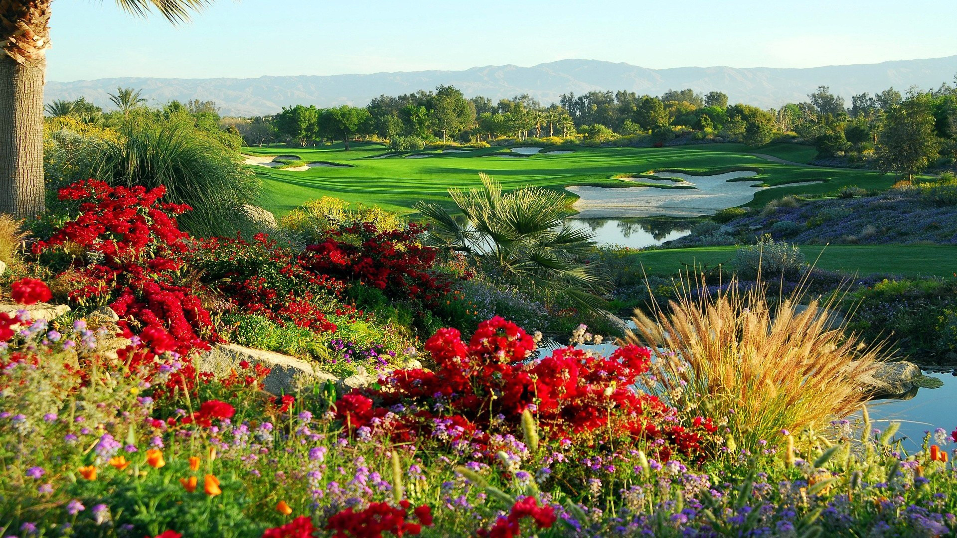 High Resolution Golf Course - HD Wallpaper 