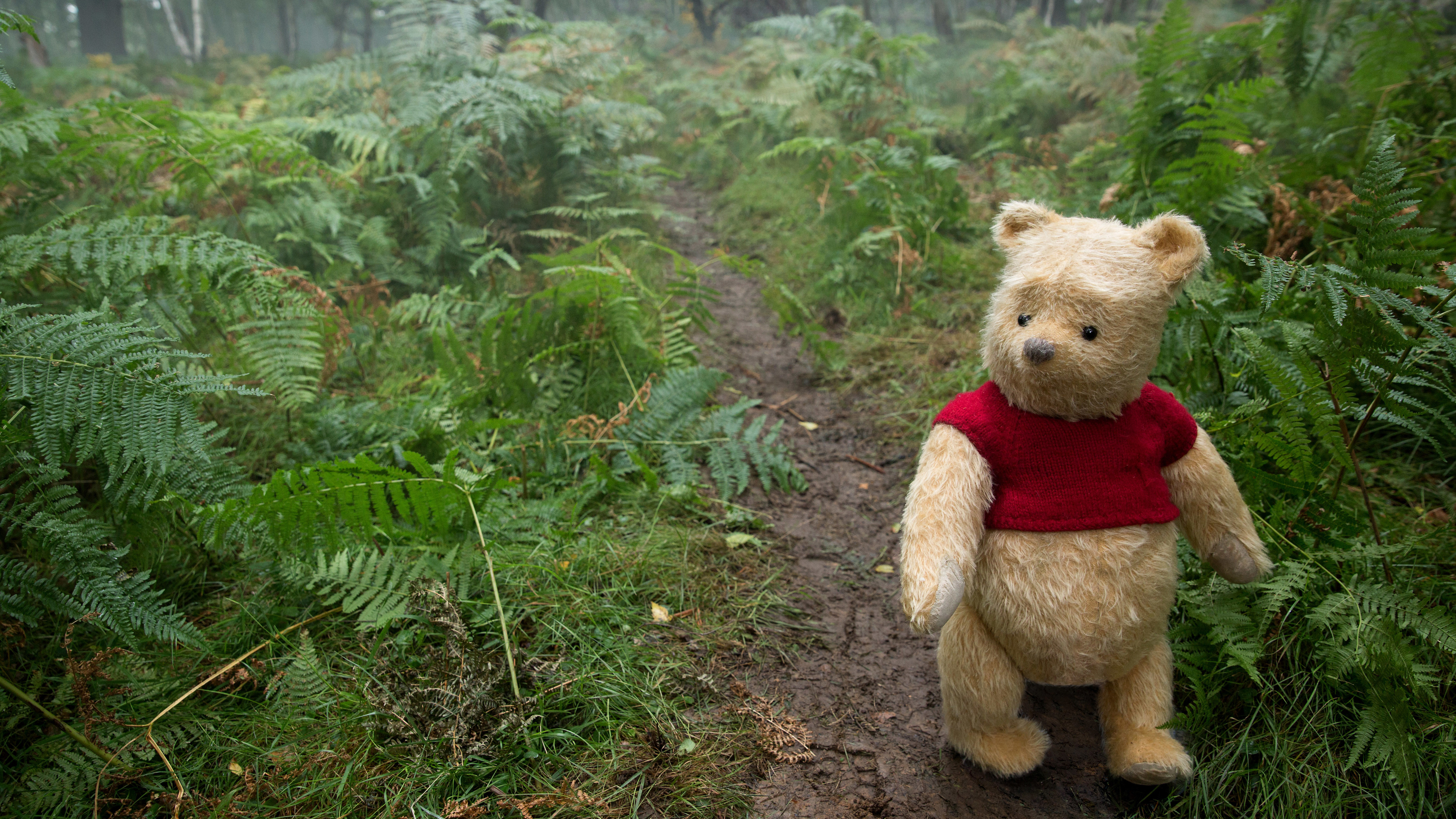 Winnie The Pooh In Christopher Robin Movie 5k 2018 - Christopher Robin - HD Wallpaper 