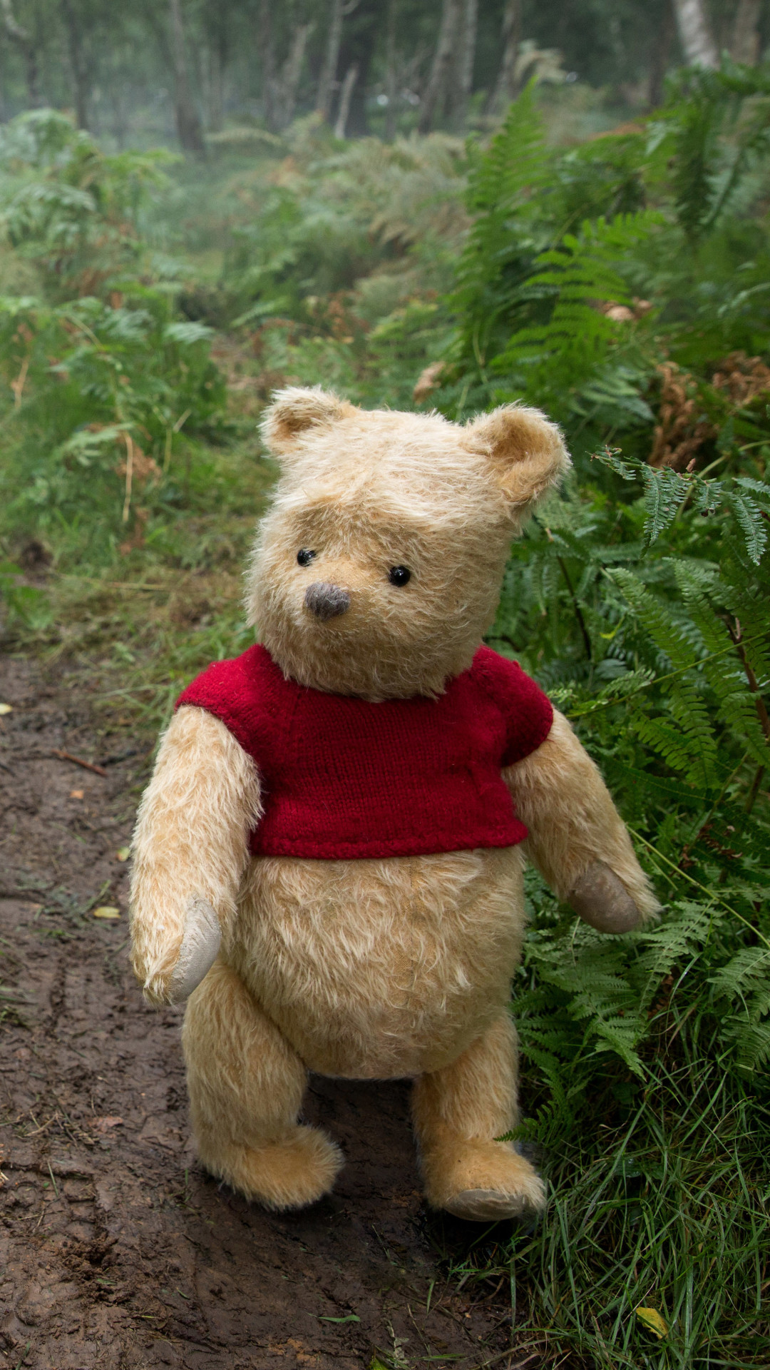 Pooh Christopher Robin - HD Wallpaper 