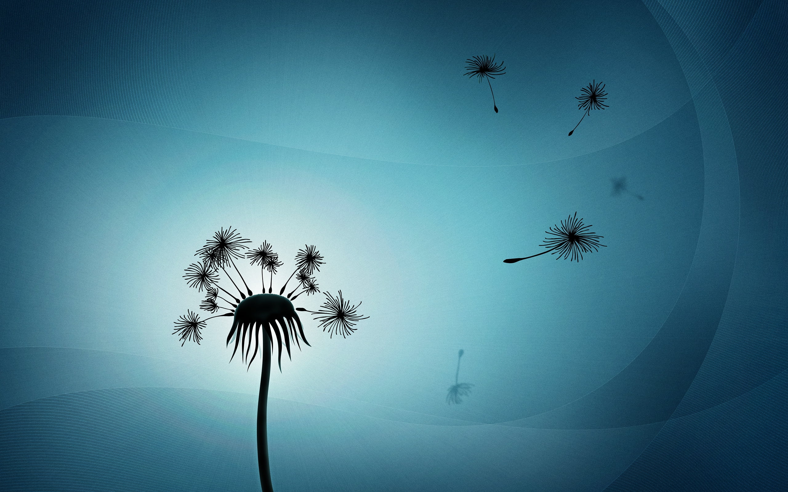 Dandelion Hd Wallpapers 4k - HD Wallpaper 