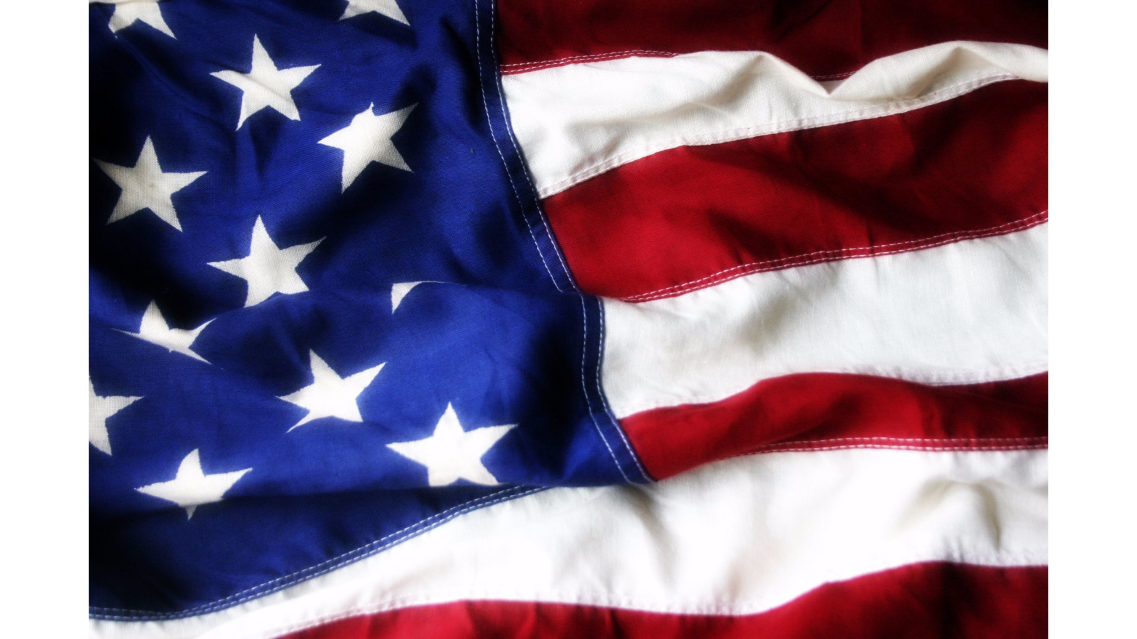 Bald Eagle Wallpaper - Flag Of The United States - HD Wallpaper 