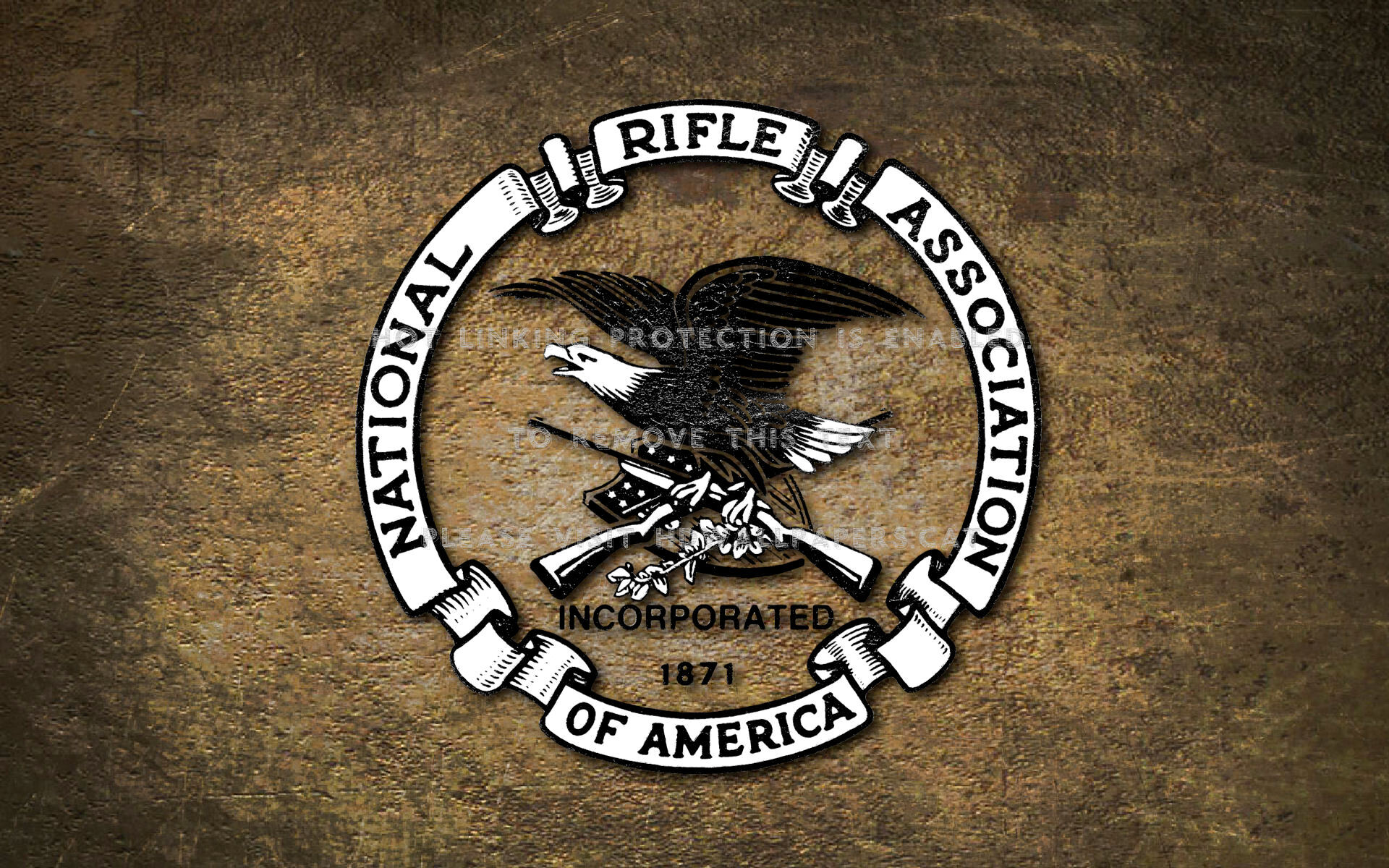 Nra Forever America Guns Constitution Rifle - National Rifle Association - HD Wallpaper 