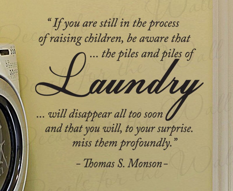 Cleaning Washing Clothes Quotes 800x655 Wallpaper teahub.io