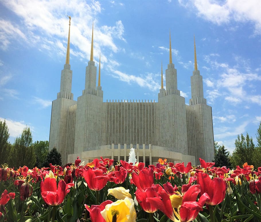 Gray Concrete Building Near Red Flowers, Mormon, Lds, - Free Lds Temple - HD Wallpaper 