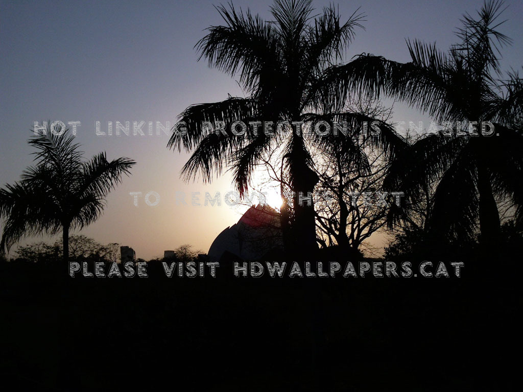 Lotus Temple Kerala New Delhi At Dusk - Attalea Speciosa - HD Wallpaper 