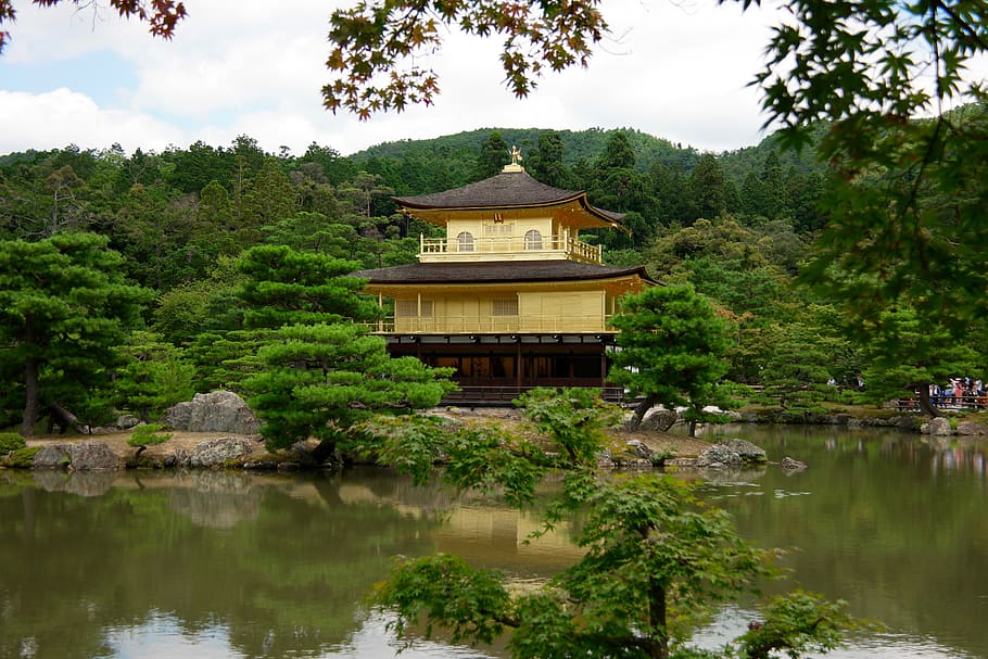 Japan, Kyoto, Golden Temple, Tree, Plant, Water, Lake, - Pagoda - HD Wallpaper 