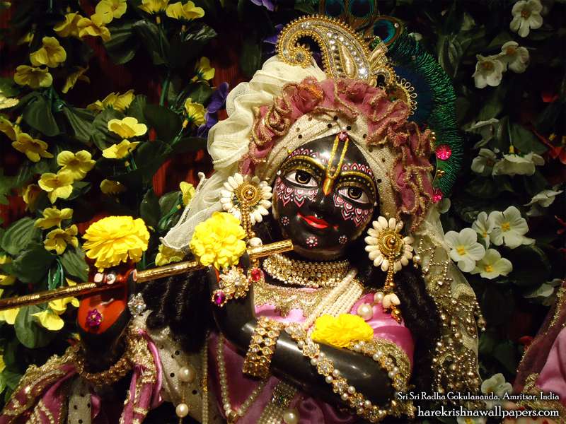 Sri Gokulananda Close Up Wallpaper - Iskcon Krishna Face Close Up Hungary - HD Wallpaper 