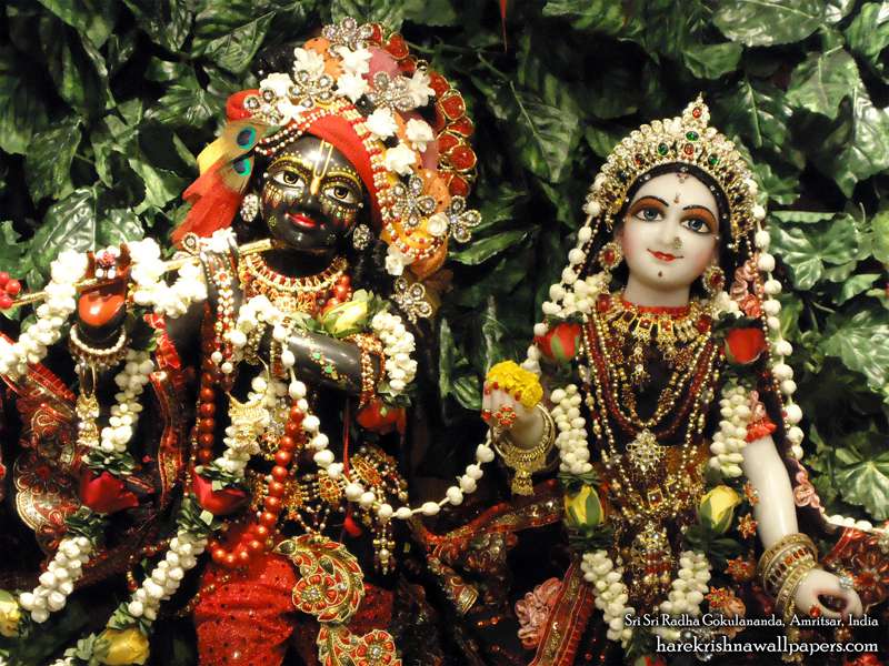 Sri Sri Radha Gokulananda Close Up Wallpaper - Religion - HD Wallpaper 