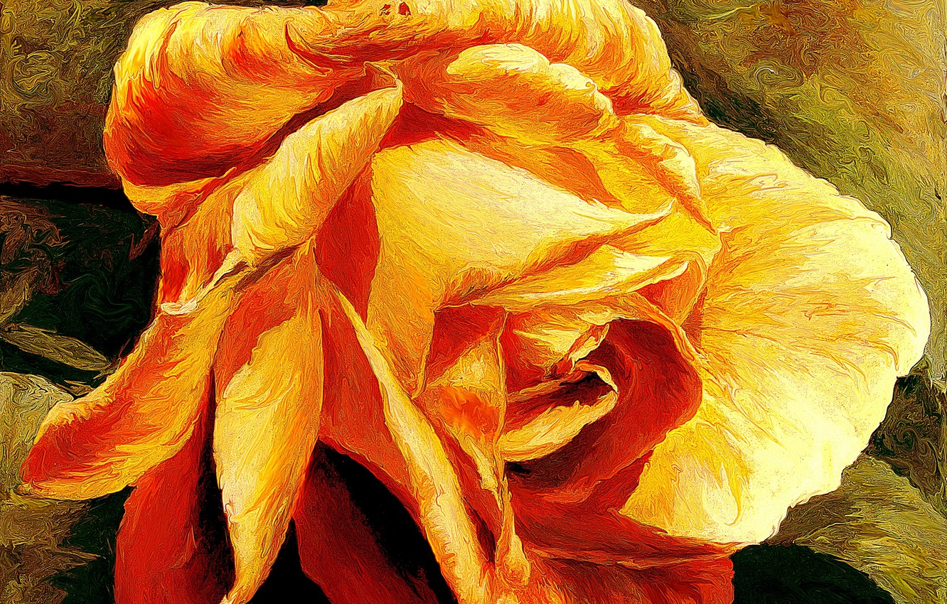 Photo Wallpaper Rose, Golden, Rose, Yellow, Gold, Xsereneix - Желтая Роза Живопись - HD Wallpaper 