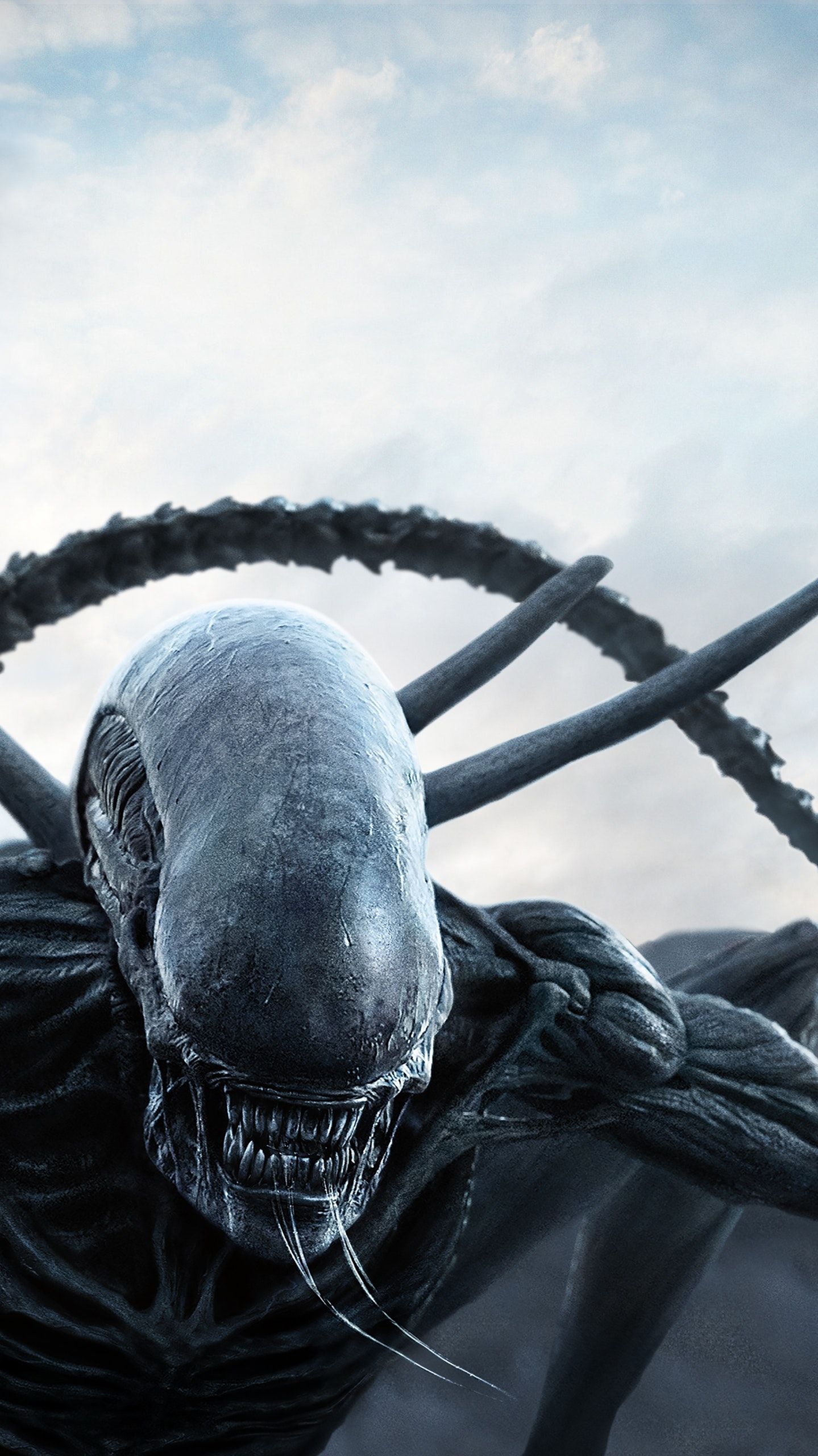 Alien Covenant - HD Wallpaper 