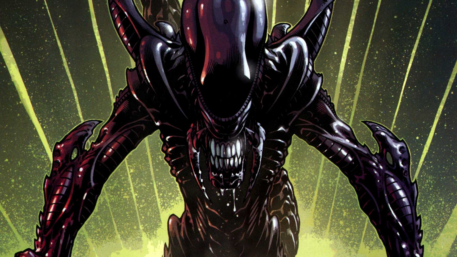 Alien Wallpaper - Predator Alien Comic Book Cover - HD Wallpaper 