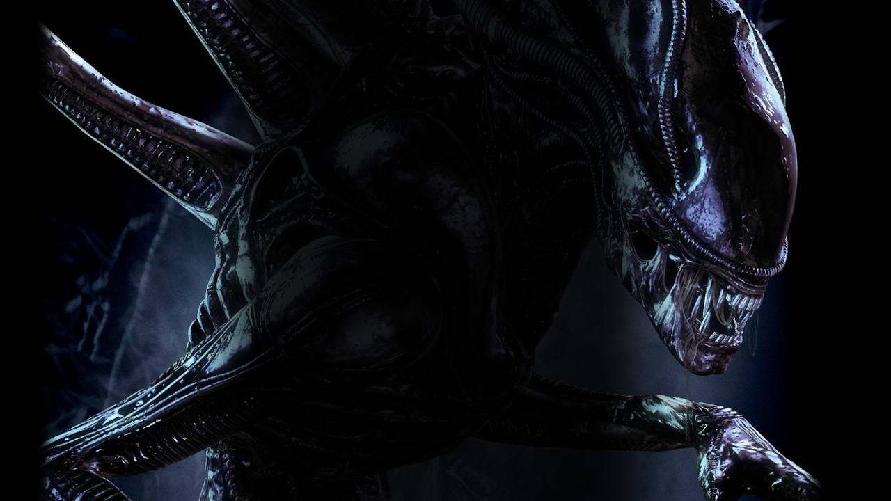 Aliens Colonial Marines Hd - HD Wallpaper 