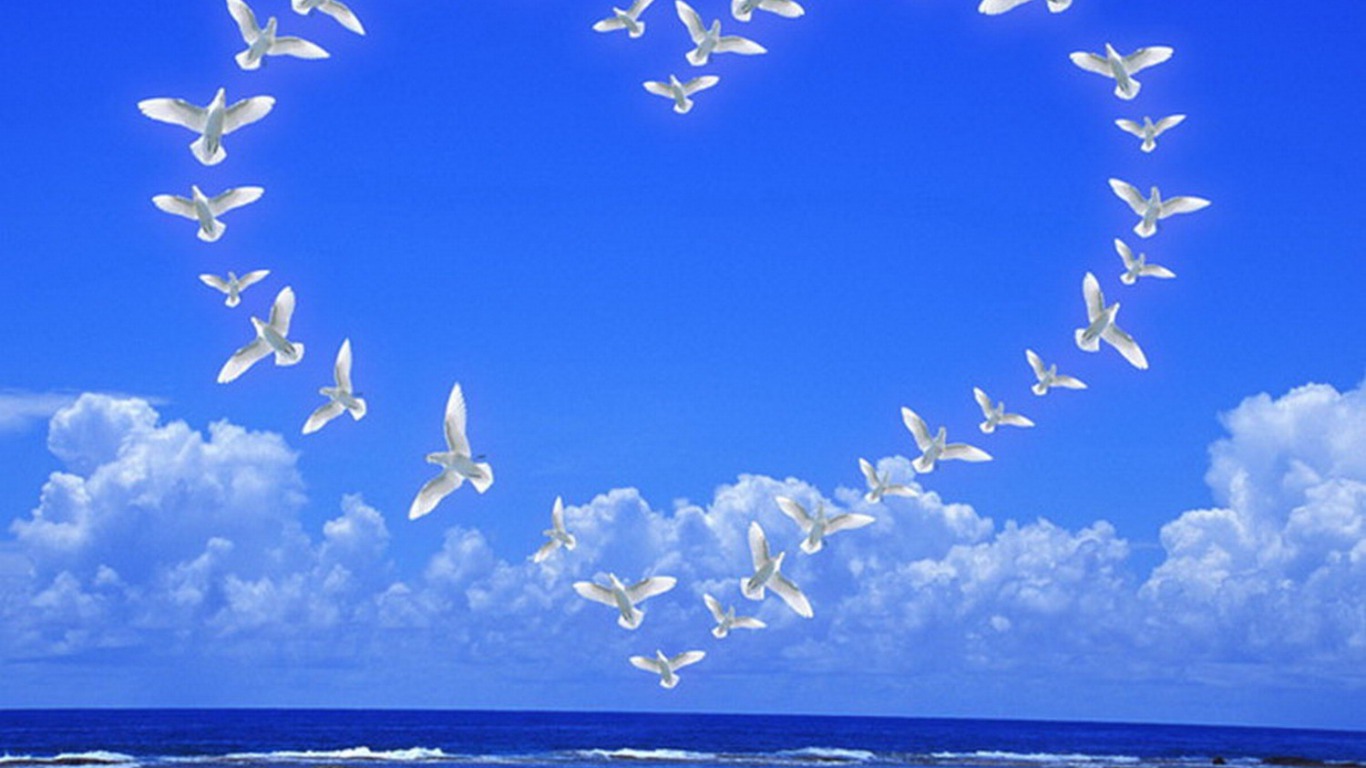 D And Hd Birds Flying Angry Picture Wallpapers Free - Blue Wallpaper Love  Birds - 1366x768 Wallpaper 