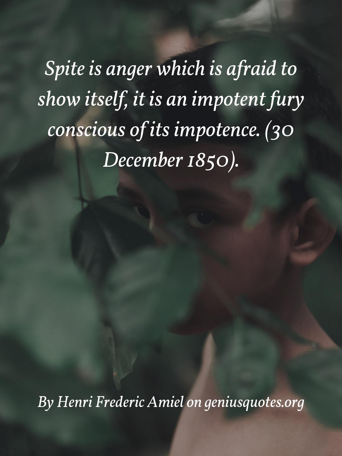 Photo Caption - HD Wallpaper 