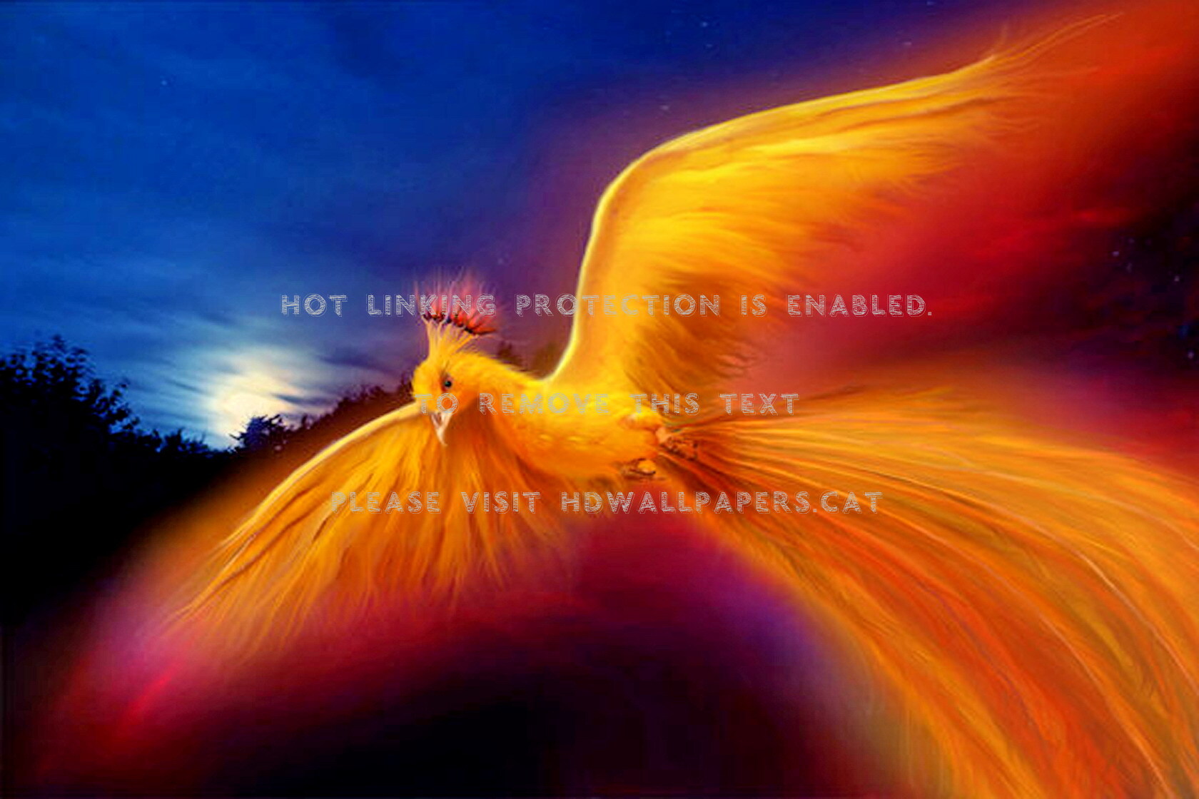 Golden Phoenix Colors Abstract Bird Digital - White Golden Phoenix Phoenix Bird - HD Wallpaper 