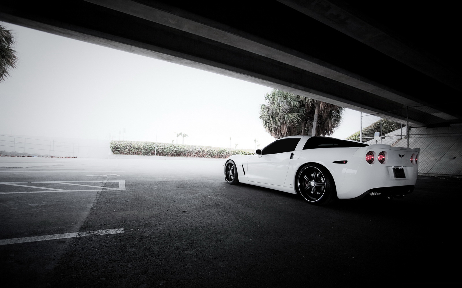 Corvette Backgrounds For Desktop - Black Corvette Background - HD Wallpaper 