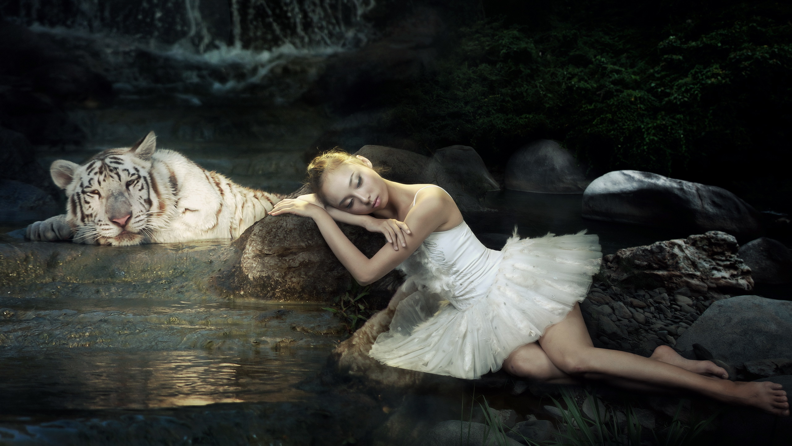 Tiger And Ballerina - HD Wallpaper 