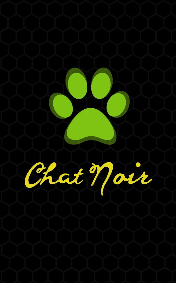 Cat Noir Wallpaper Iphone - HD Wallpaper 