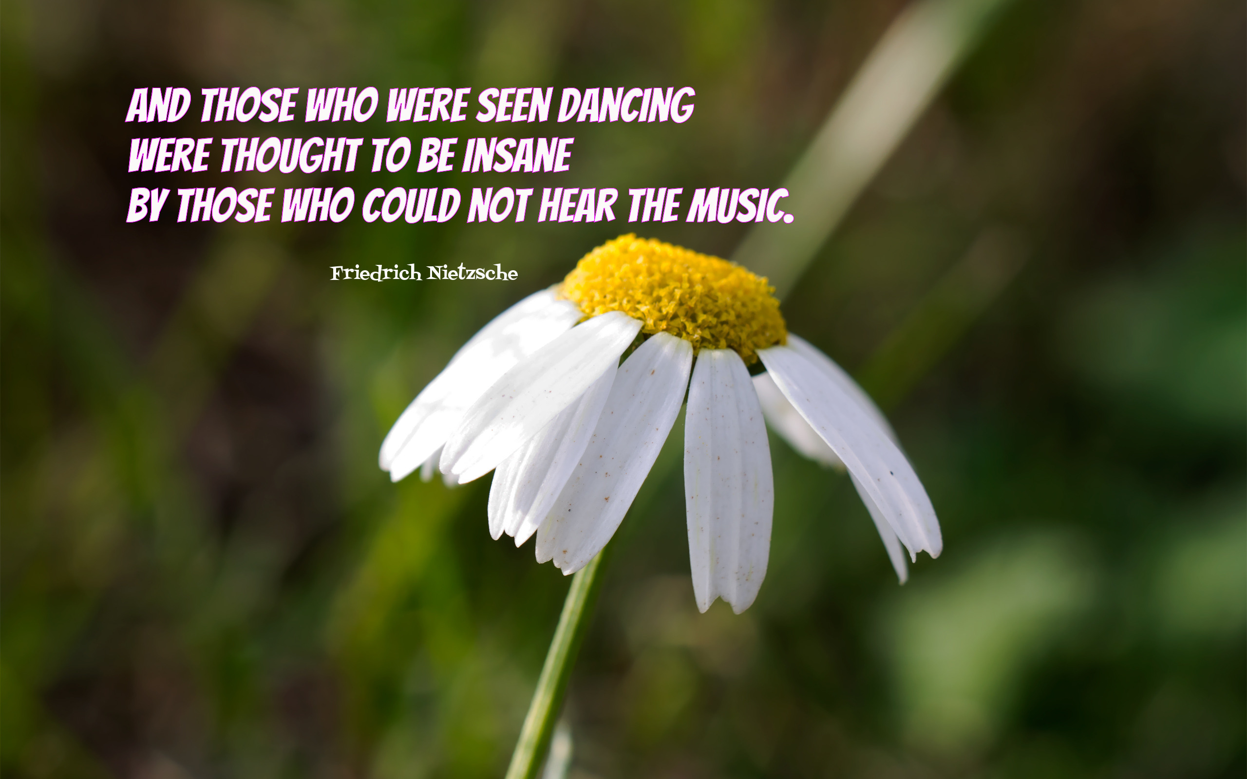 And Those Who Were Seen Dancing Quote Wallpaper - HD Wallpaper 