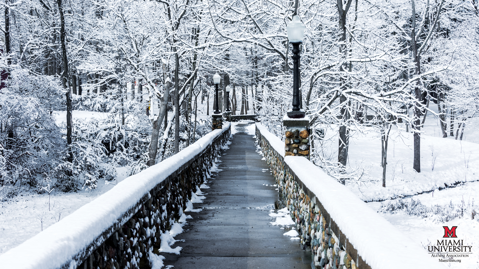 Miami University In The Winter - HD Wallpaper 