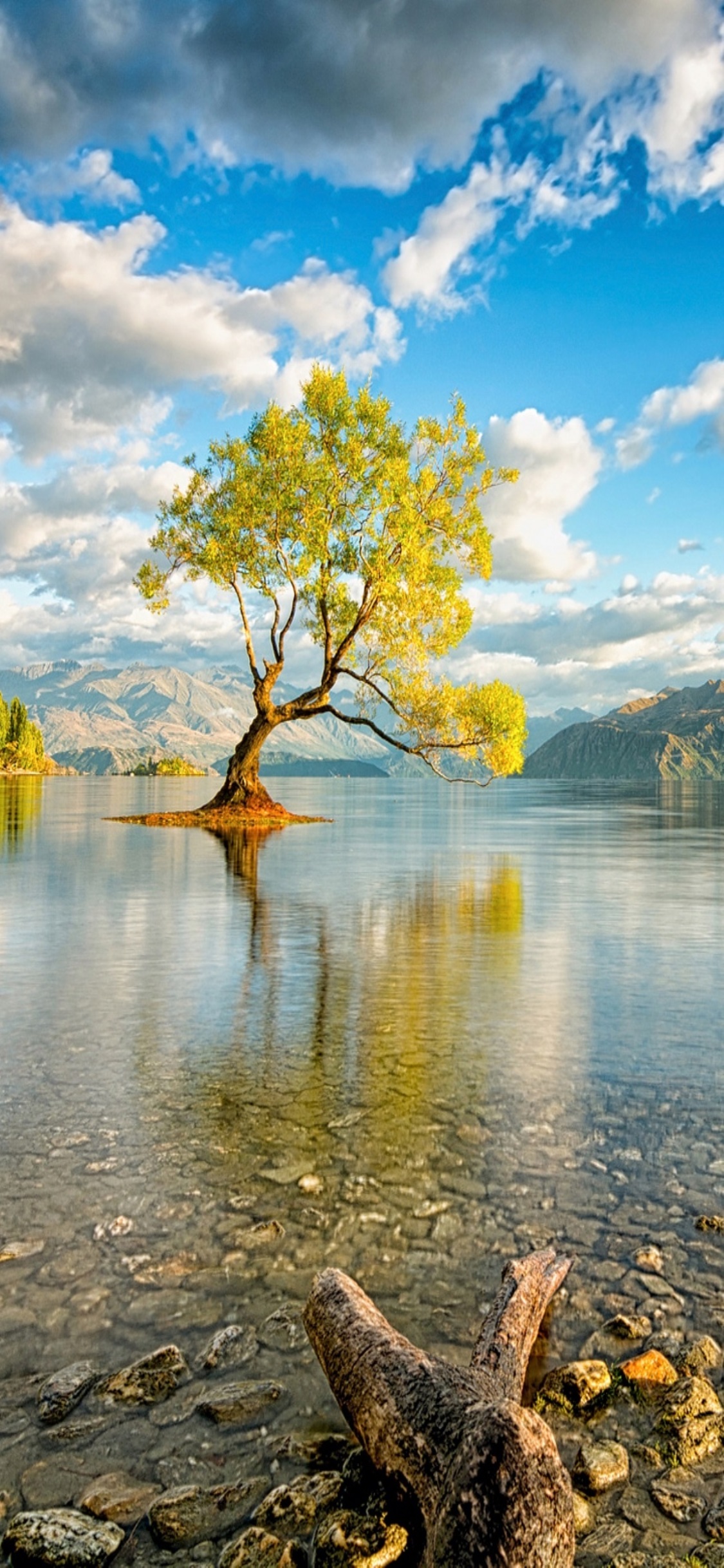 New Zealand Island Lake Wanaka 101637 Iphone X Wallpaper - Lago Wanaka Nova Zelândia - HD Wallpaper 