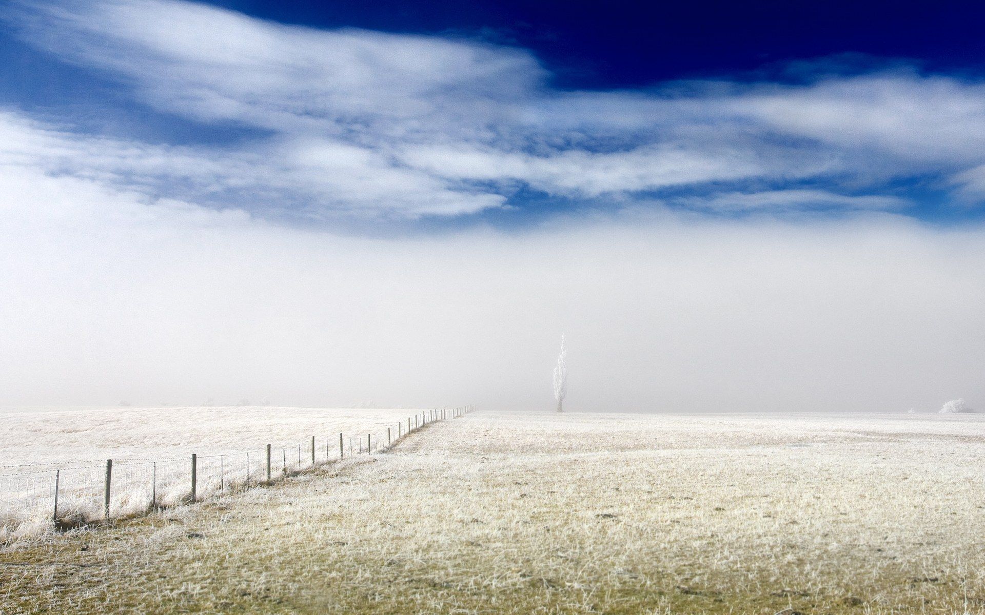 New Zealand Iphone Wallpaper - HD Wallpaper 